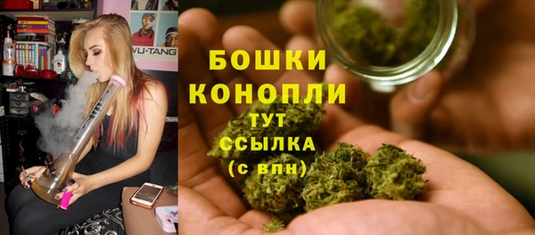 трава Абаза