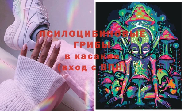 трава Абаза